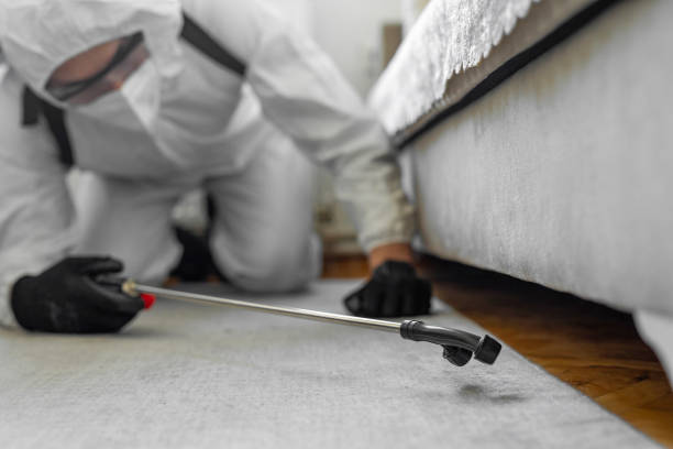 Professional Mosquito Control technician working in Mineral Springs, AR