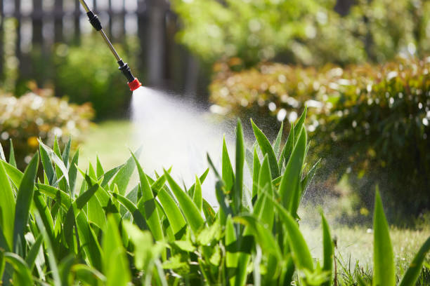 24/7 Emergency Mosquito Control experts in Mineral Springs, AR